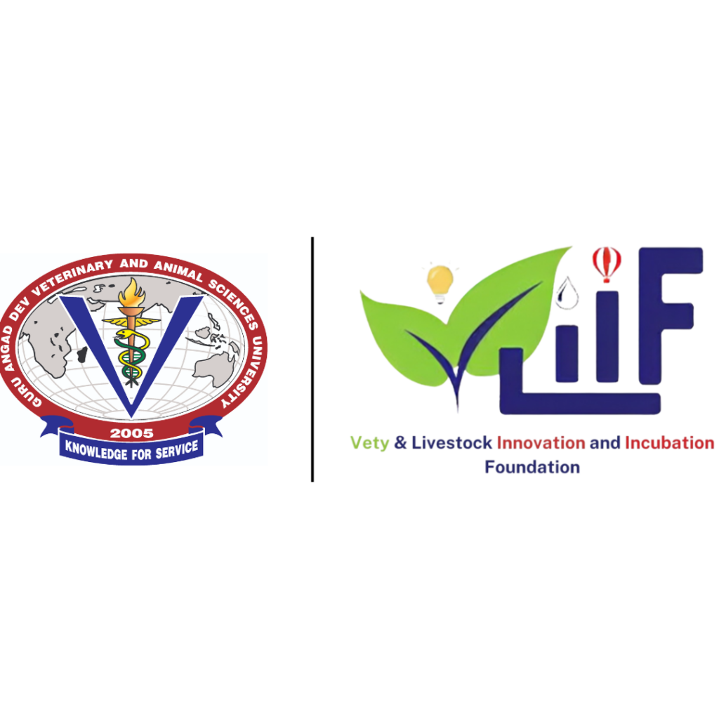 VLIIF