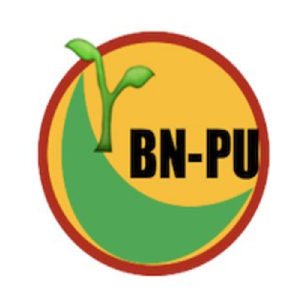 BNPU