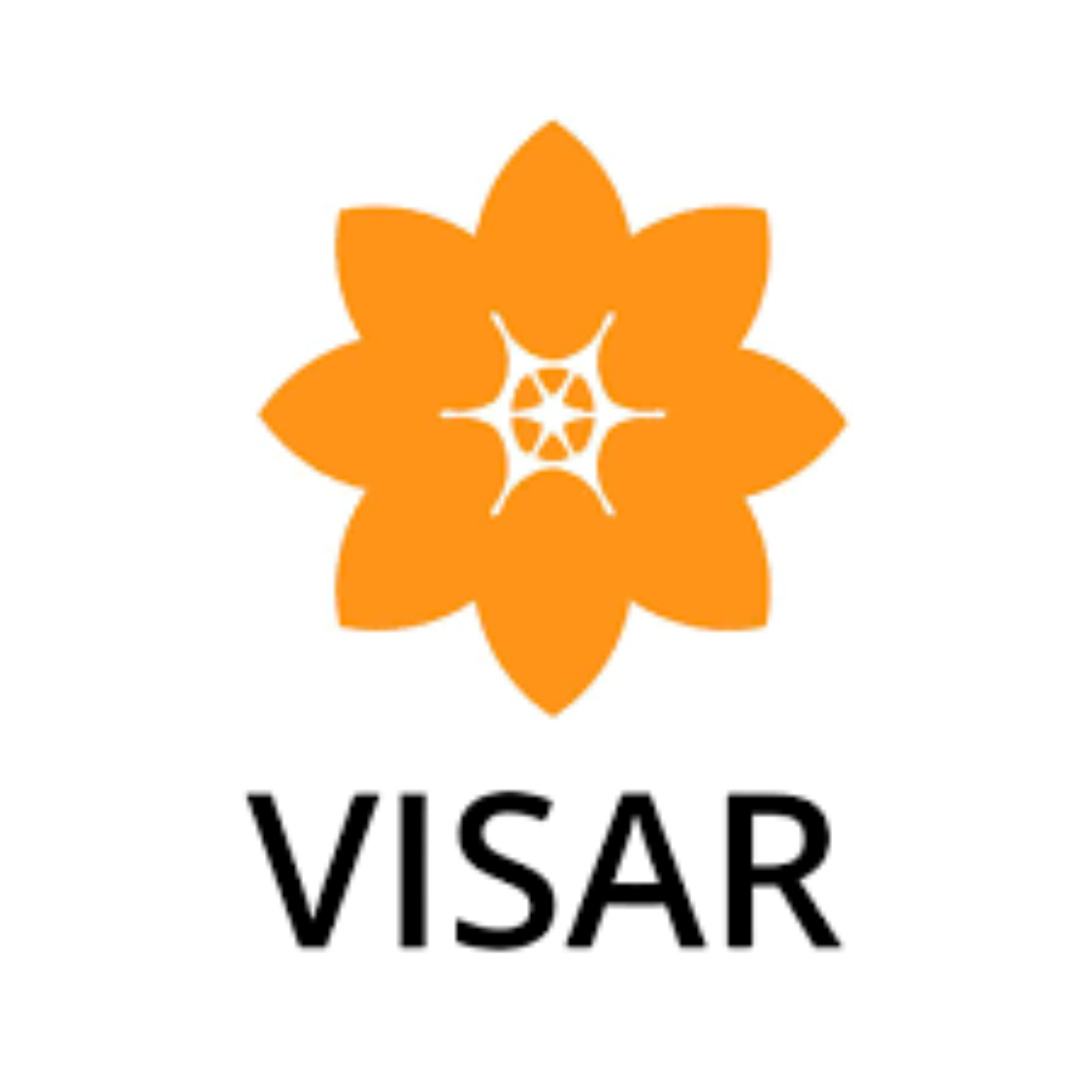 Visar